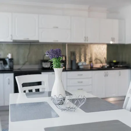 Rania * Клуж-Напока