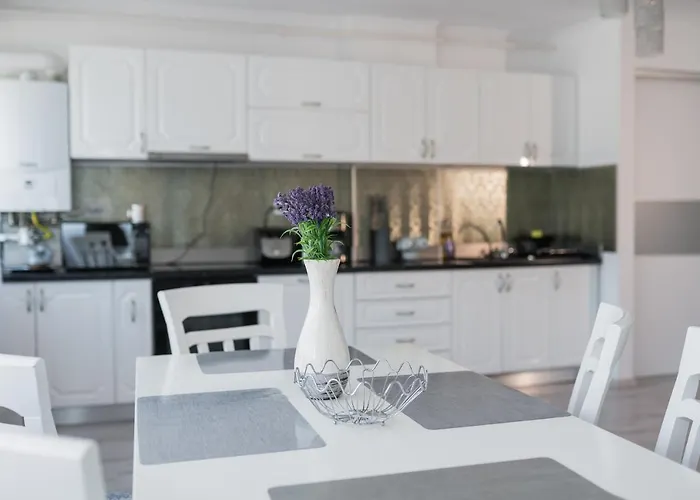 Rania * Κλουζ-Ναπόκα